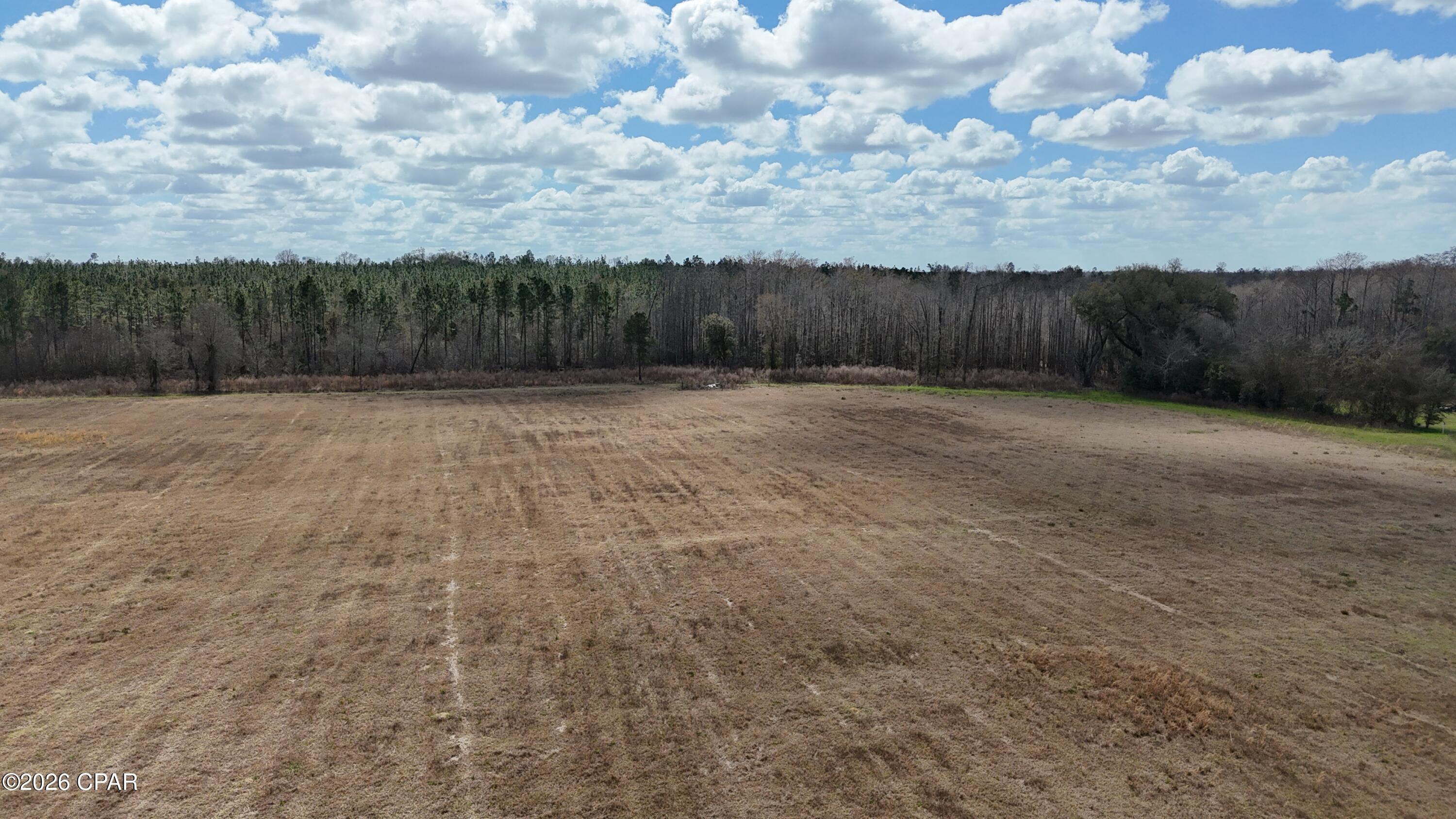 6775 Highway 90 Grand Ridge, FL 32442 - Photo 59 of 89