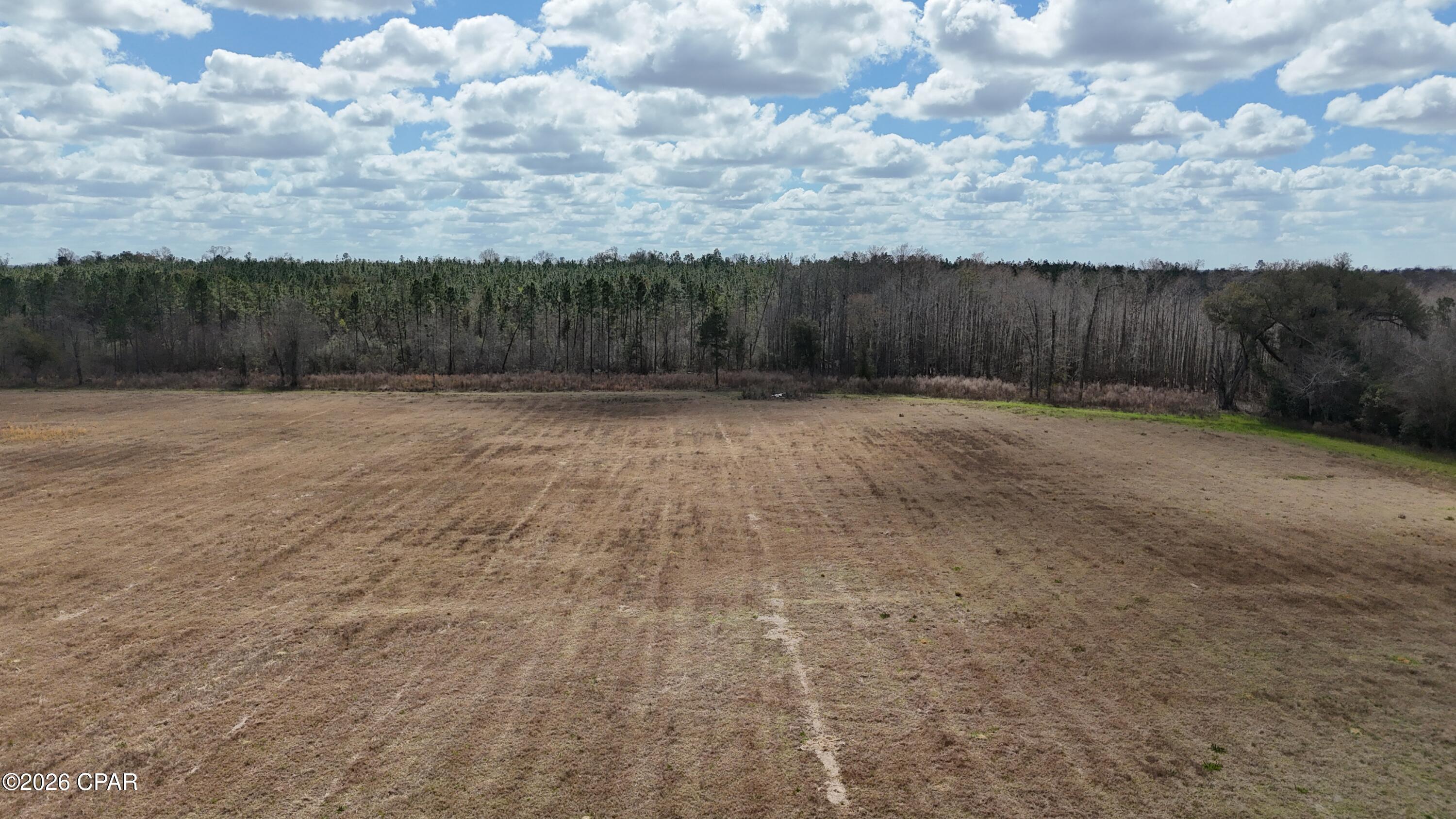 6775 Highway 90 Grand Ridge, FL 32442 - Photo 60 of 89