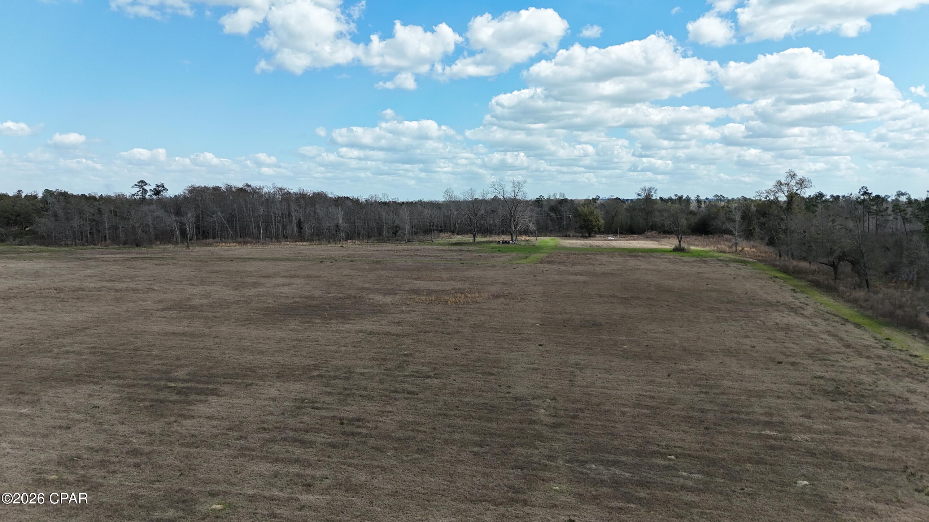 6775 Highway 90 Grand Ridge, FL 32442 - Photo 65 of 89