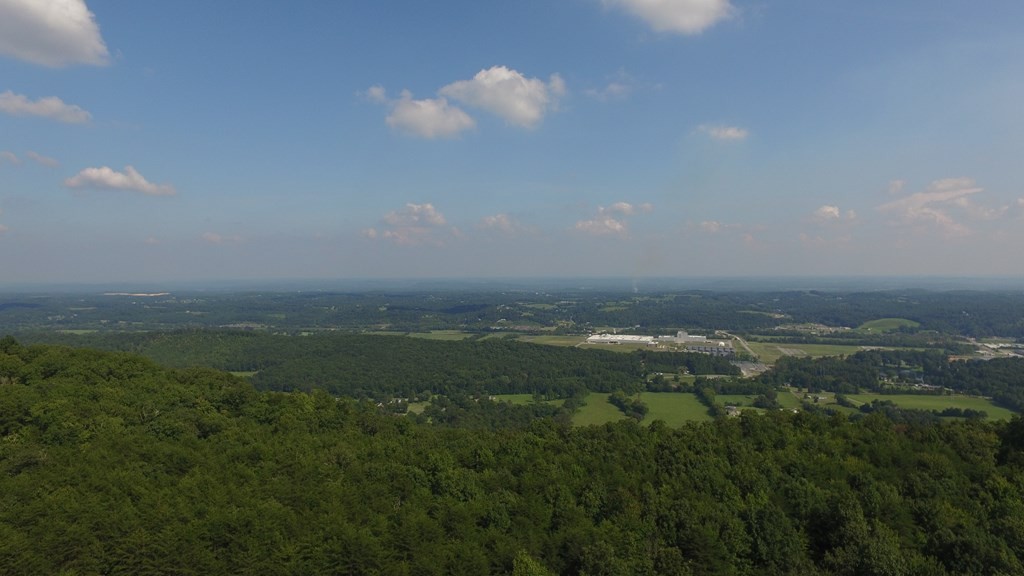 0 Back Valley Road Dayton, TN 37321 - Photo 18 of 20