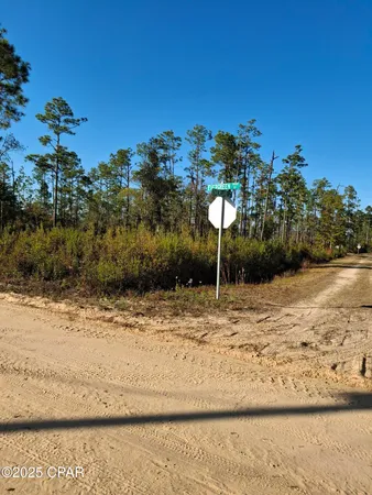 $14,500 | 11941 Evergreen Street, Fountain, FL 32438