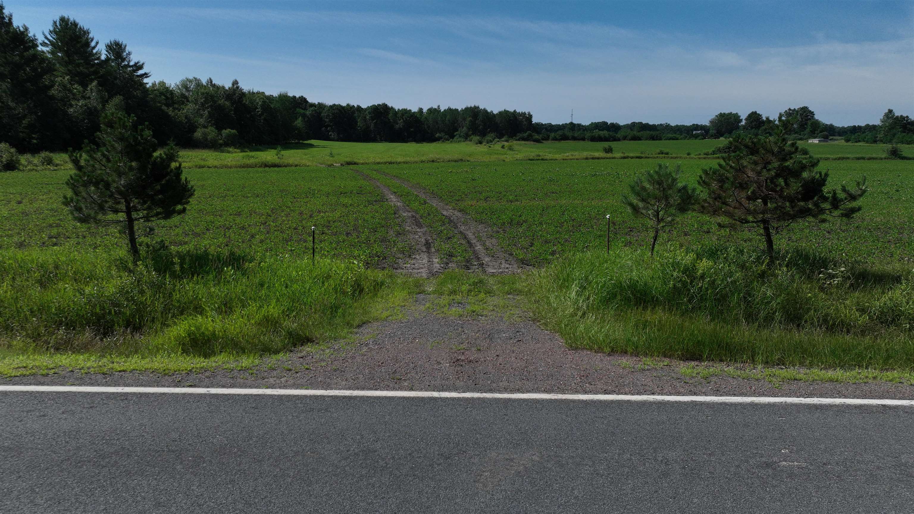 38.85-ac County Road East Pittsville, WI 54466 - Photo 46 of 50