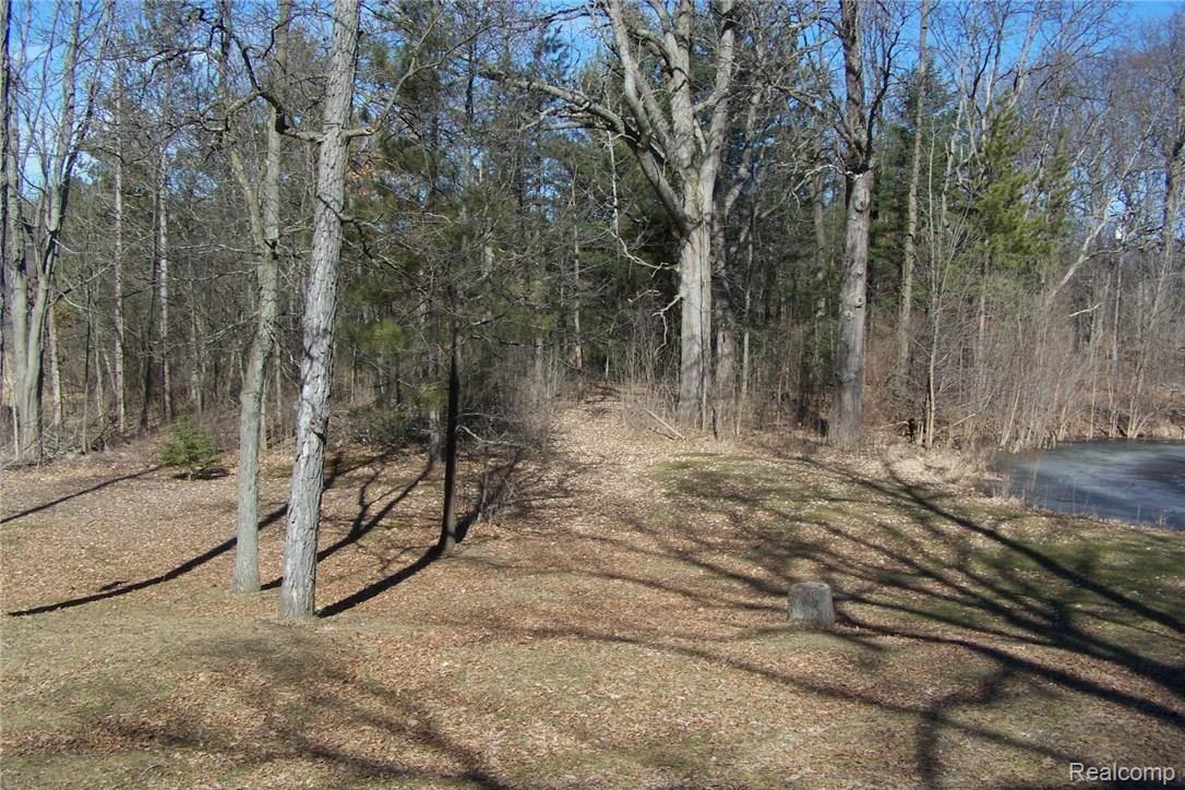 4848 Vines Road Howell, MI 48843 - Photo 28 of 32 Vines has edge of pond on property.jpg
