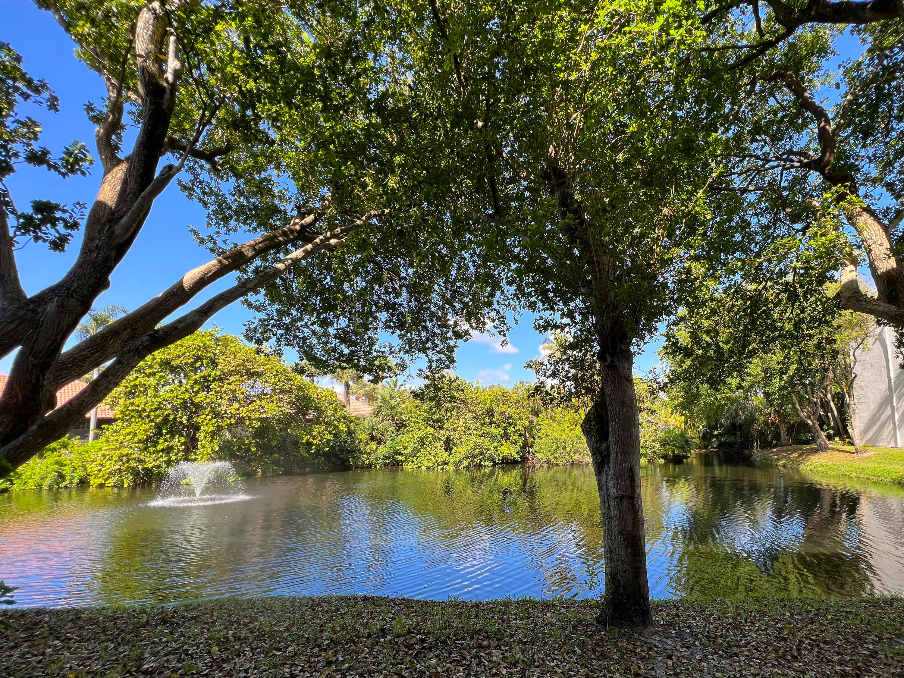 1605 Highway 1, Unit C103 Jupiter, FL 33477 - Photo 24 of 26 IMG_2295