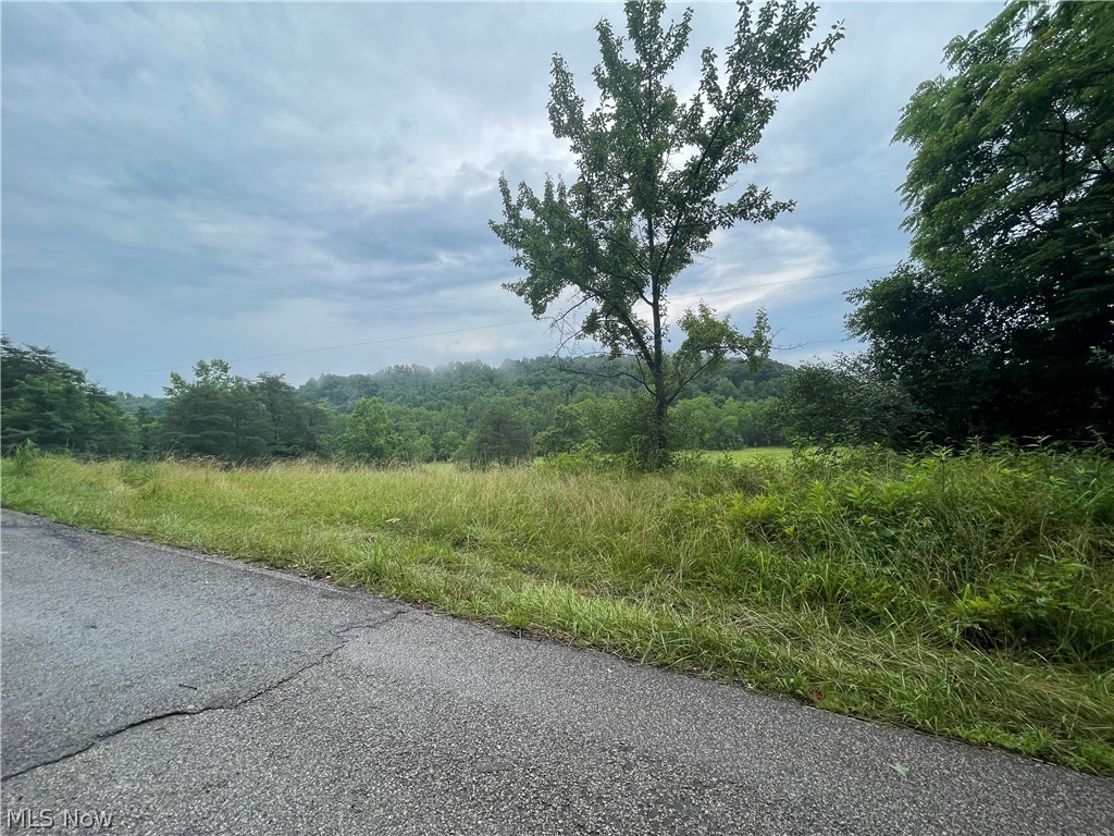 Copperhead Road Waverly, WV 26184 - Photo 4 of 25