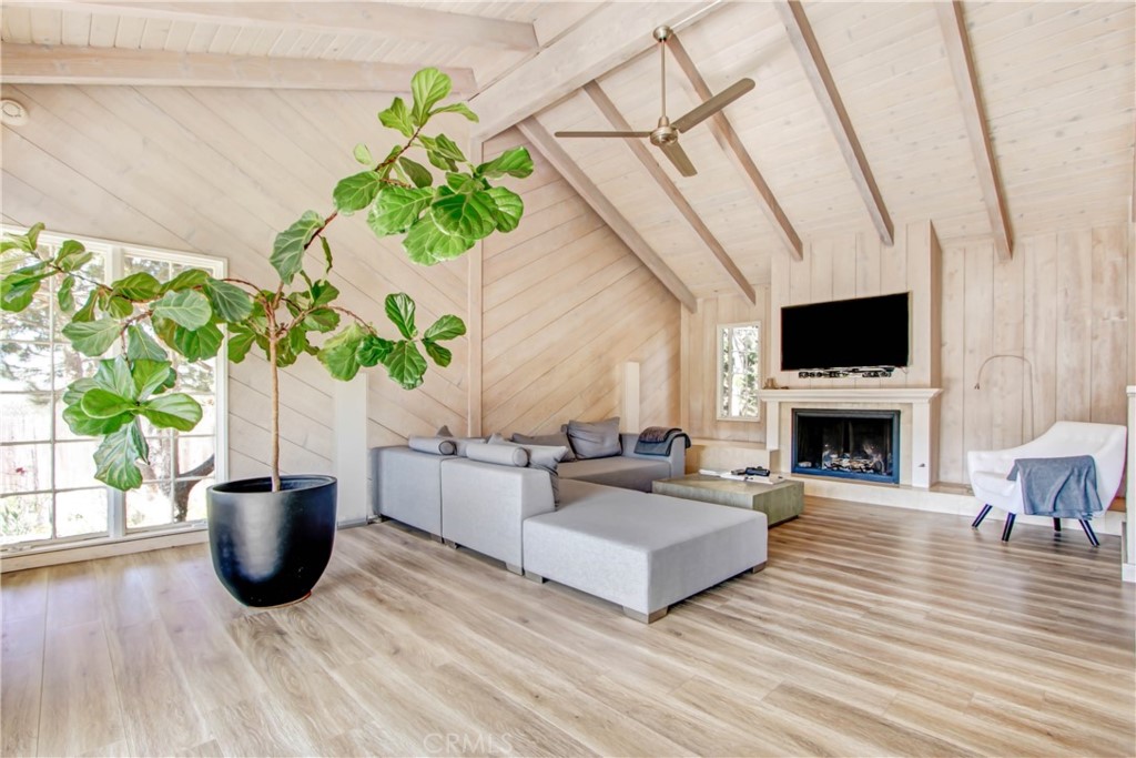 1486 Morningside Circle, Unit MAIN Laguna Beach, CA 92651 - Photo 12 of 24 a living room with furniture a fireplace and a potted plant