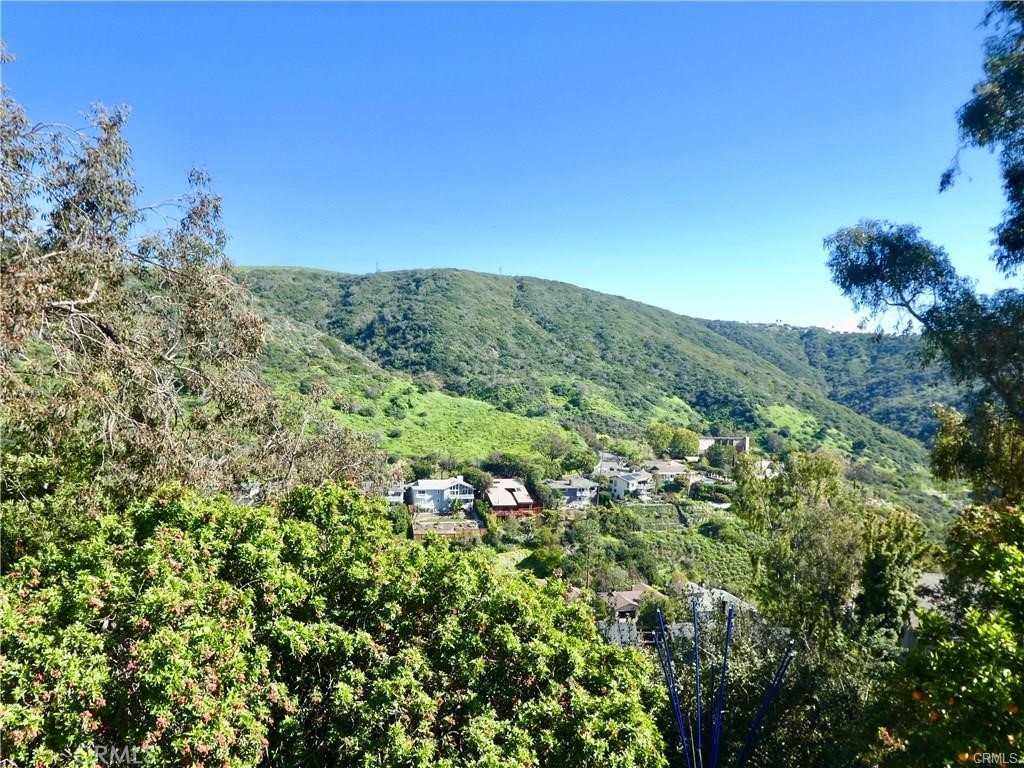 1486 Morningside Circle, Unit MAIN Laguna Beach, CA 92651 - Photo 6 of 24 a view of a green field with lots of bushes