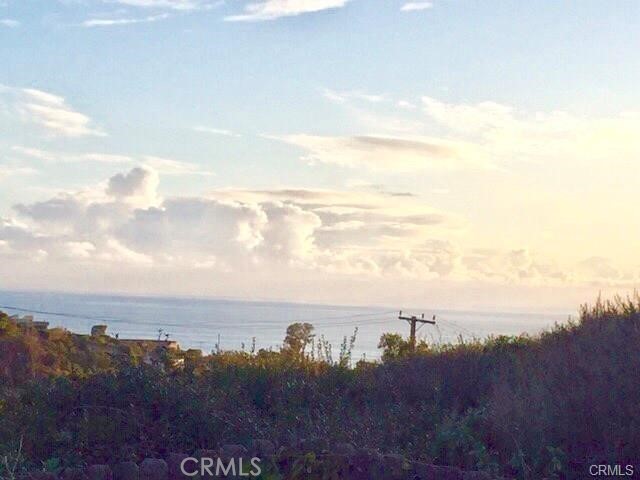 1486 Morningside Circle, Unit MAIN Laguna Beach, CA 92651 - Photo 8 of 24