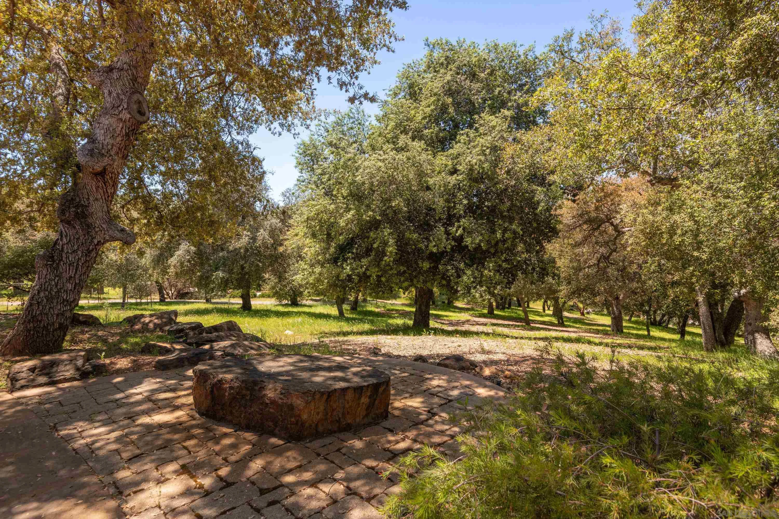 23835 Viejas Grade Road Descanso, CA 91916 - Photo 59 of 62 a view of a backyard with large trees