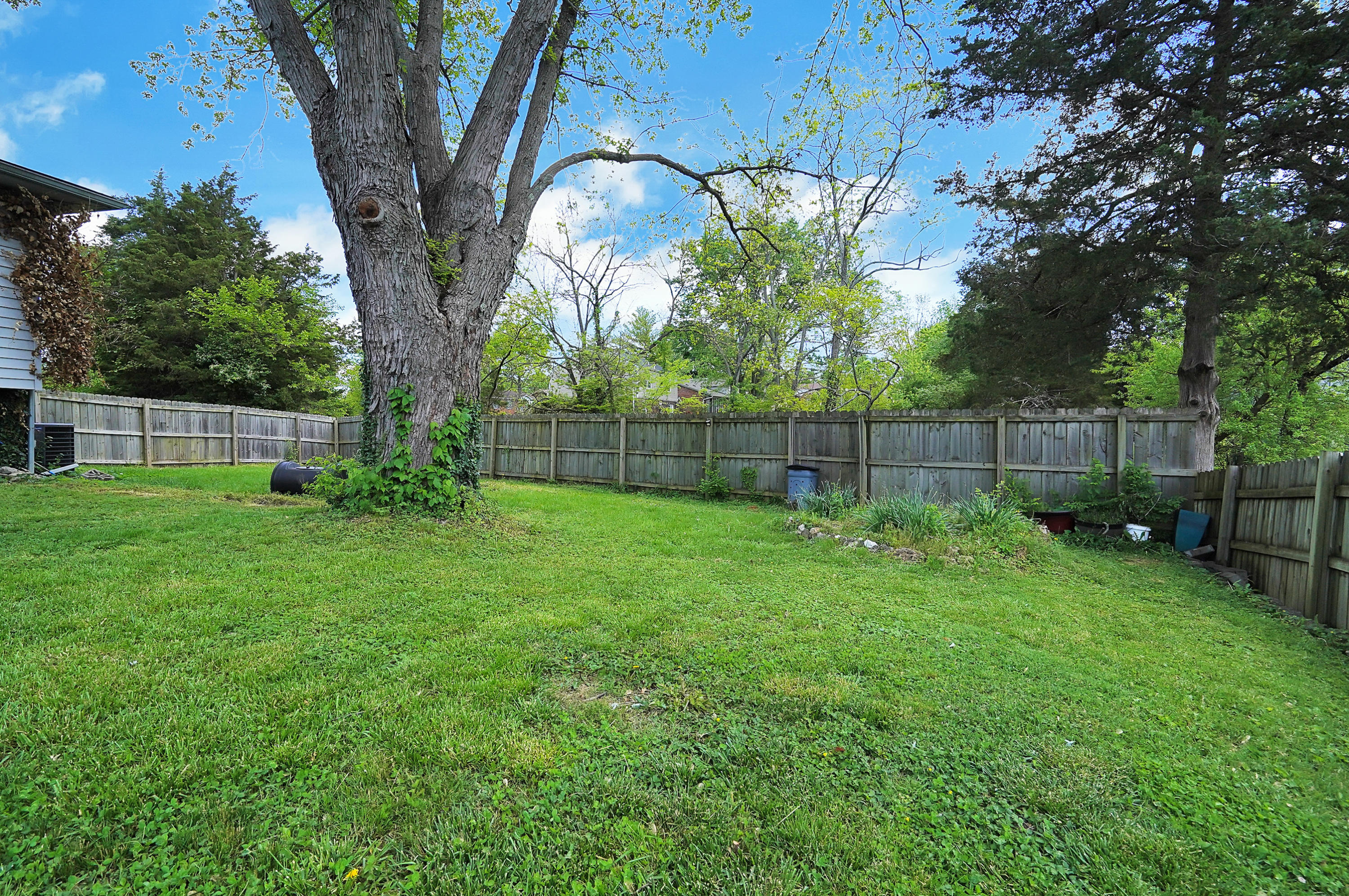 10218 St Rene Road Louisville, KY 40299 - Photo 35 of 36 Rear Yard