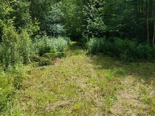 W4427 Hedin Road Ogema, WI 54459 - Photo 5 of 19 Gallery Image 5