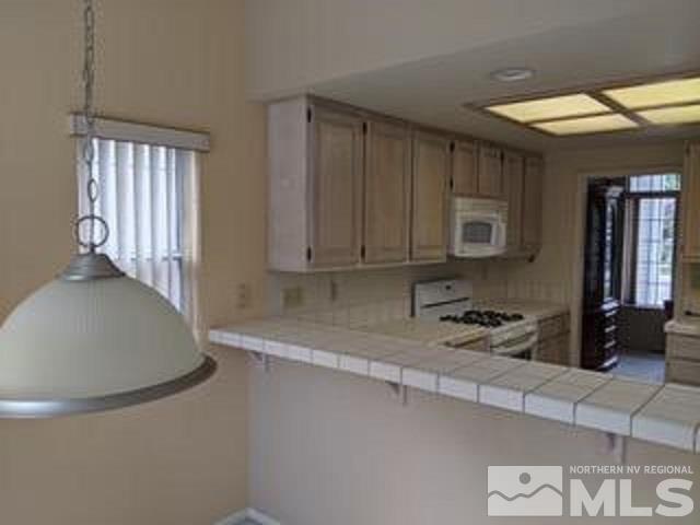 969 Ridgeview Drive Reno, NV 89511 - Photo 16 of 17 Photo 16