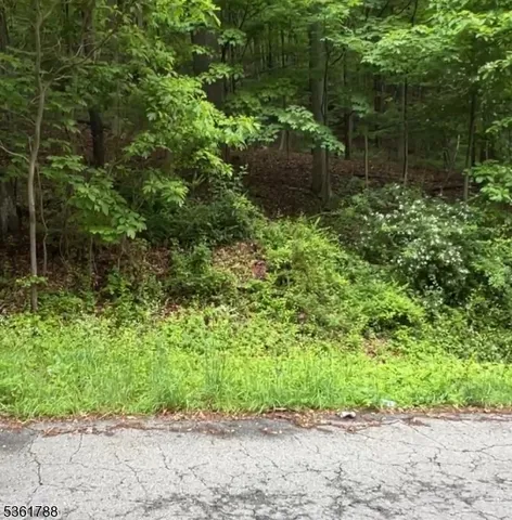 a view of a forest with trees and flowers