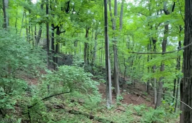 a green field with lots of trees