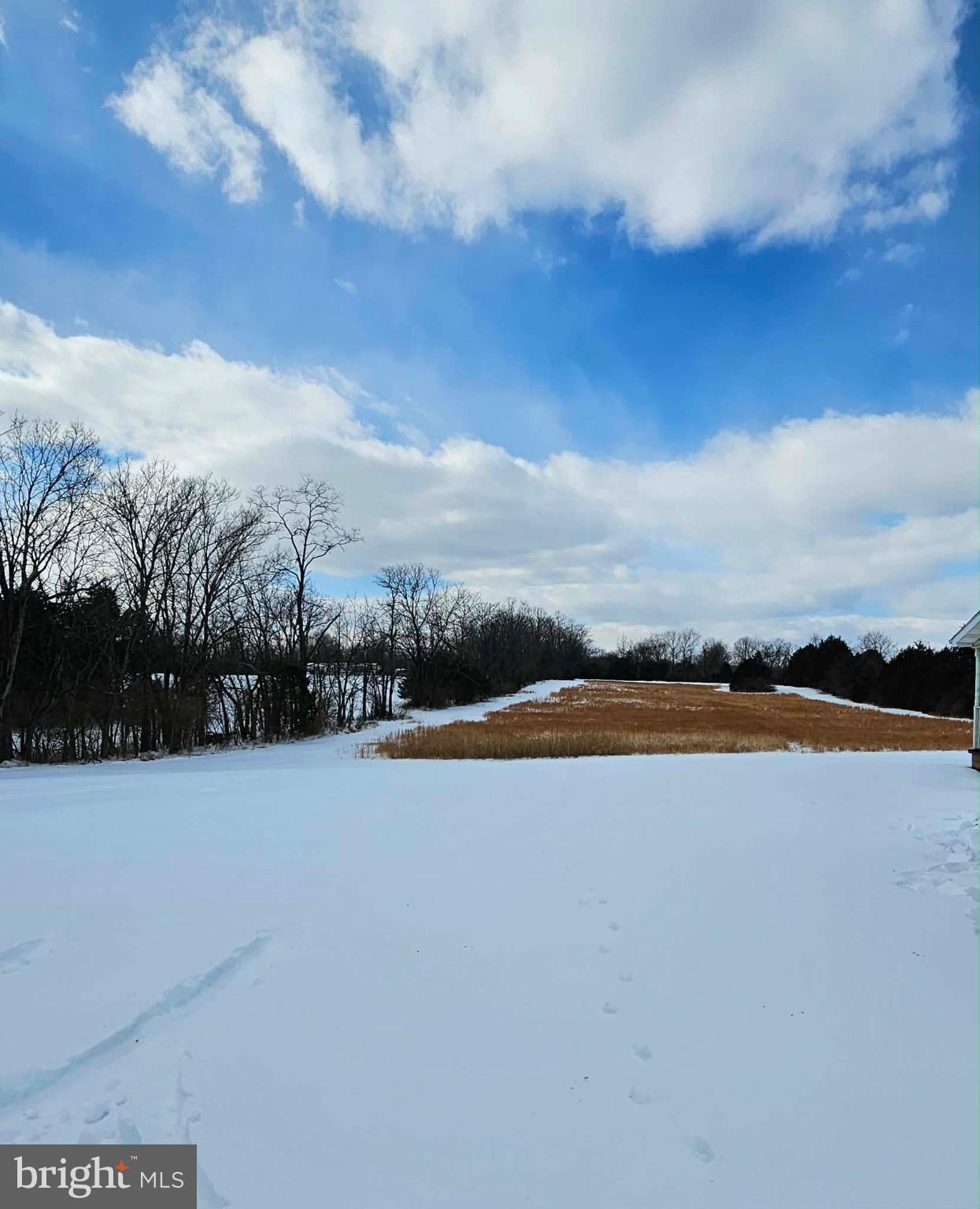 764 Quarry Road Bunker Hill, WV 25413 - Photo 49 of 84 Beautiful acreage