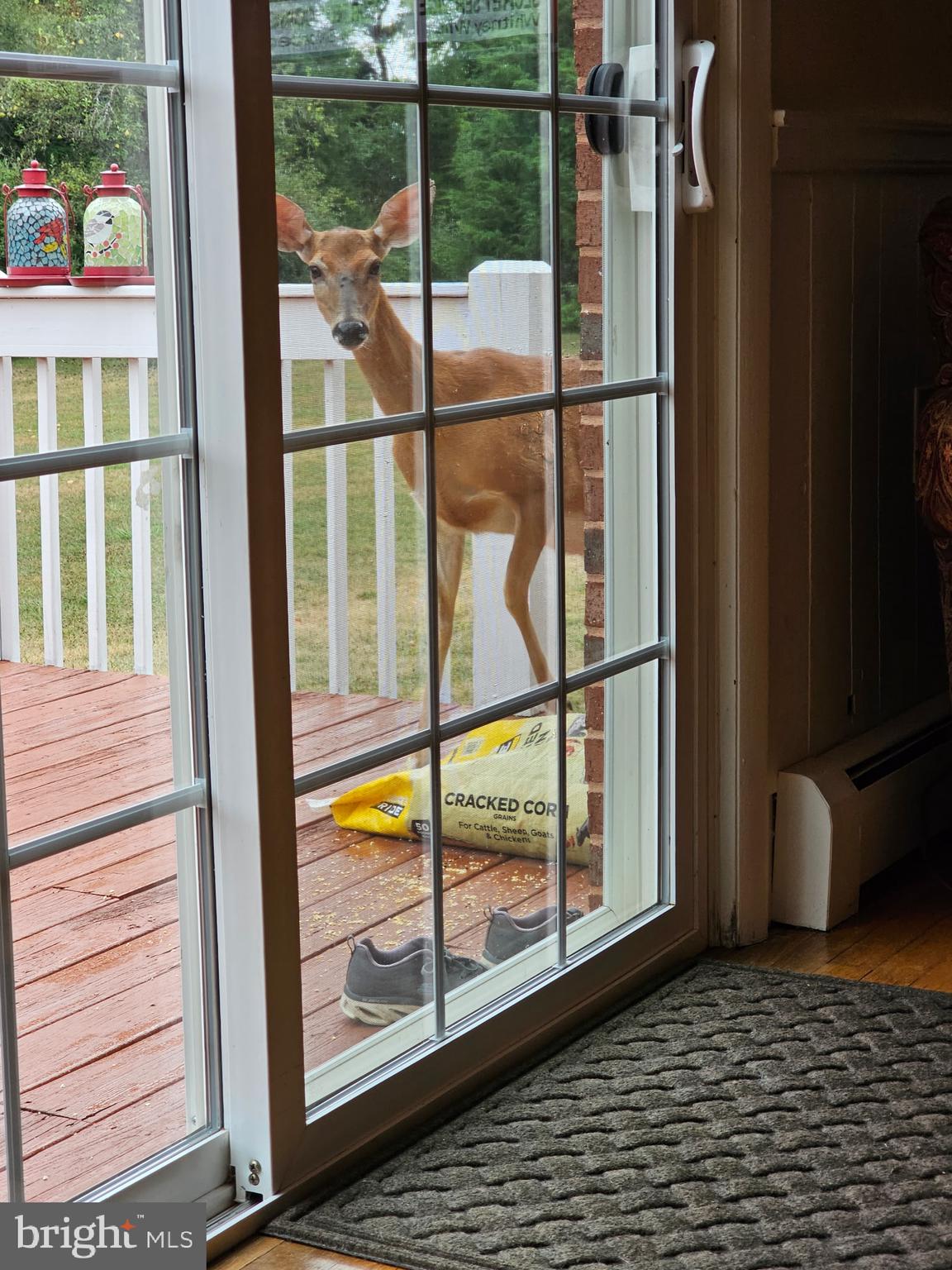 764 Quarry Road Bunker Hill, WV 25413 - Photo 82 of 84