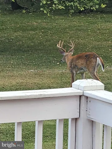 $779,900 | 764 Quarry Road, Bunker Hill, WV 25413