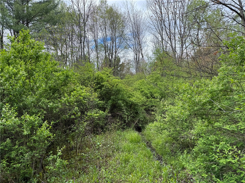 Caswell Road Freeville, NY 13068 - Photo 25 of 47