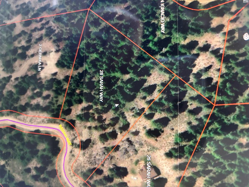 28 Sarah Way, Unit 9 Cascade, ID 83611 - Photo 9 of 20 3.43 Acres