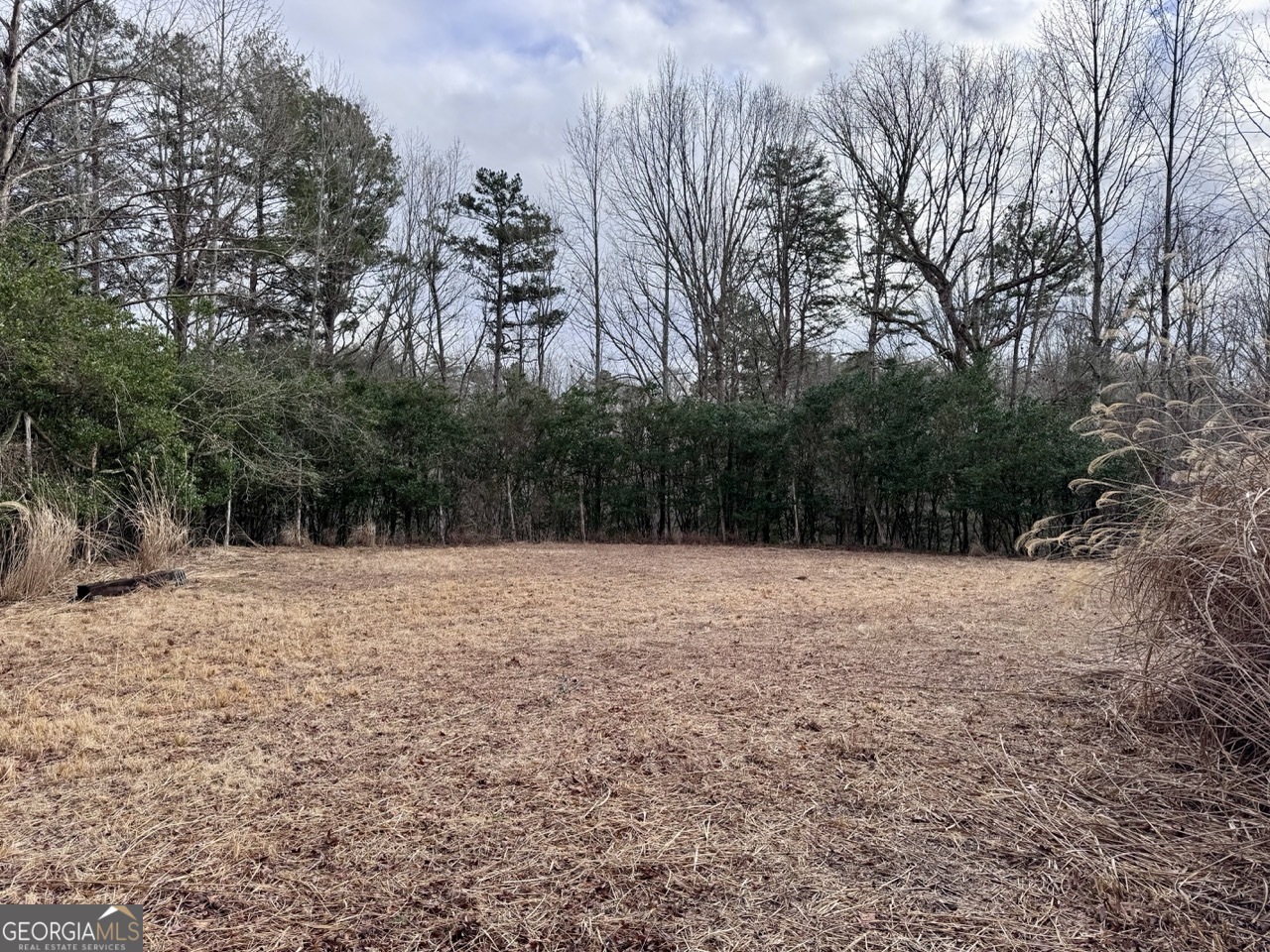 5565 Cavender Creek Road Dahlonega, GA 30533 - Photo 12 of 17 a backyard of a house with lots of green space