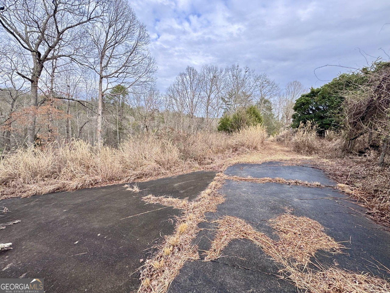 5565 Cavender Creek Road Dahlonega, GA 30533 - Photo 14 of 17 a view of a yard with a tree