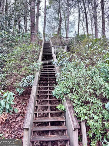 a view of a yard with plants and trees