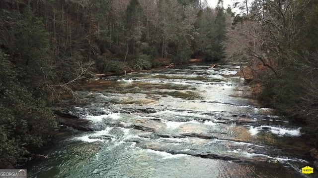 a view of a city and lush green forest