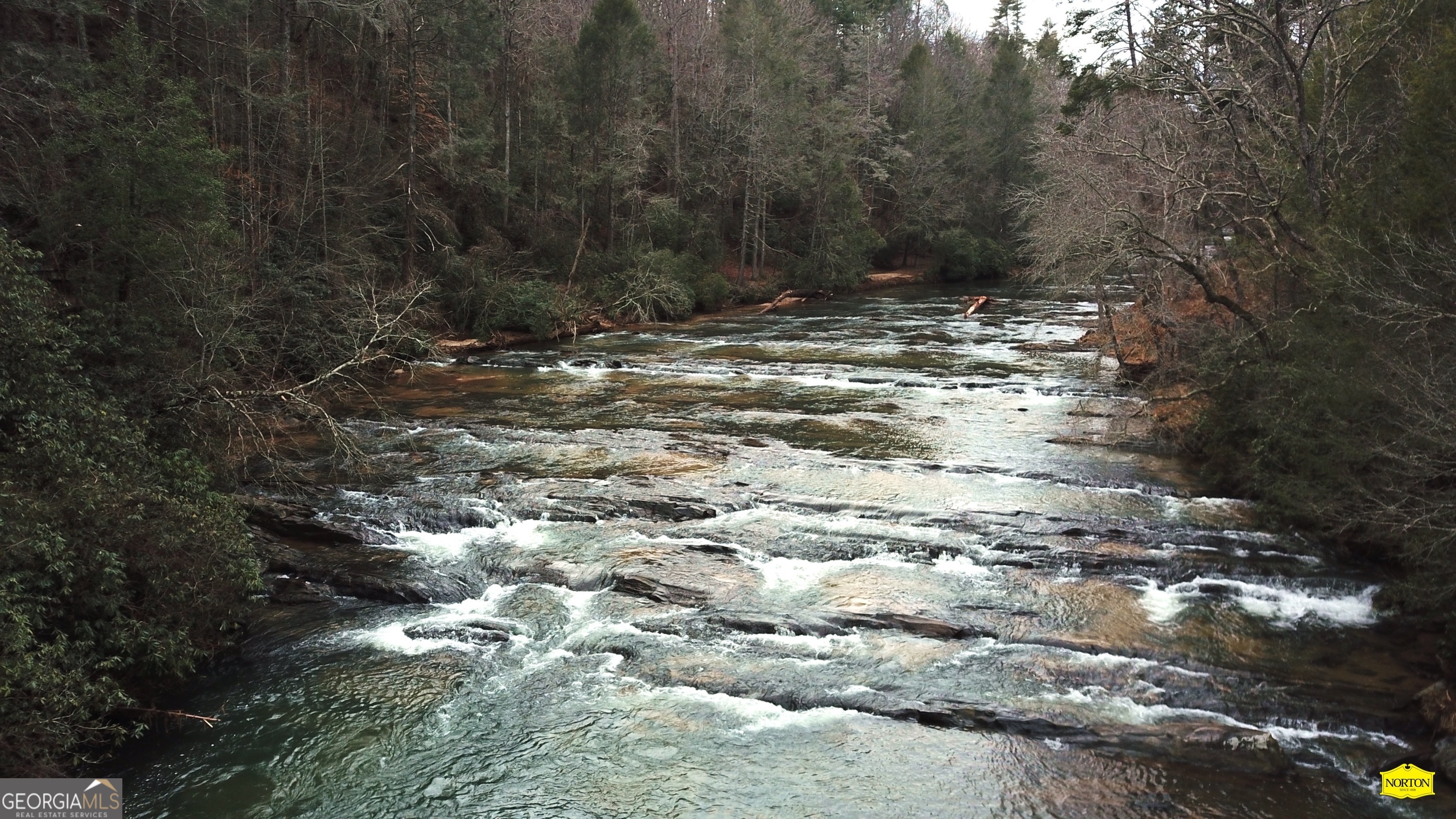 5565 Cavender Creek Road Dahlonega, GA 30533 - Photo 2 of 17