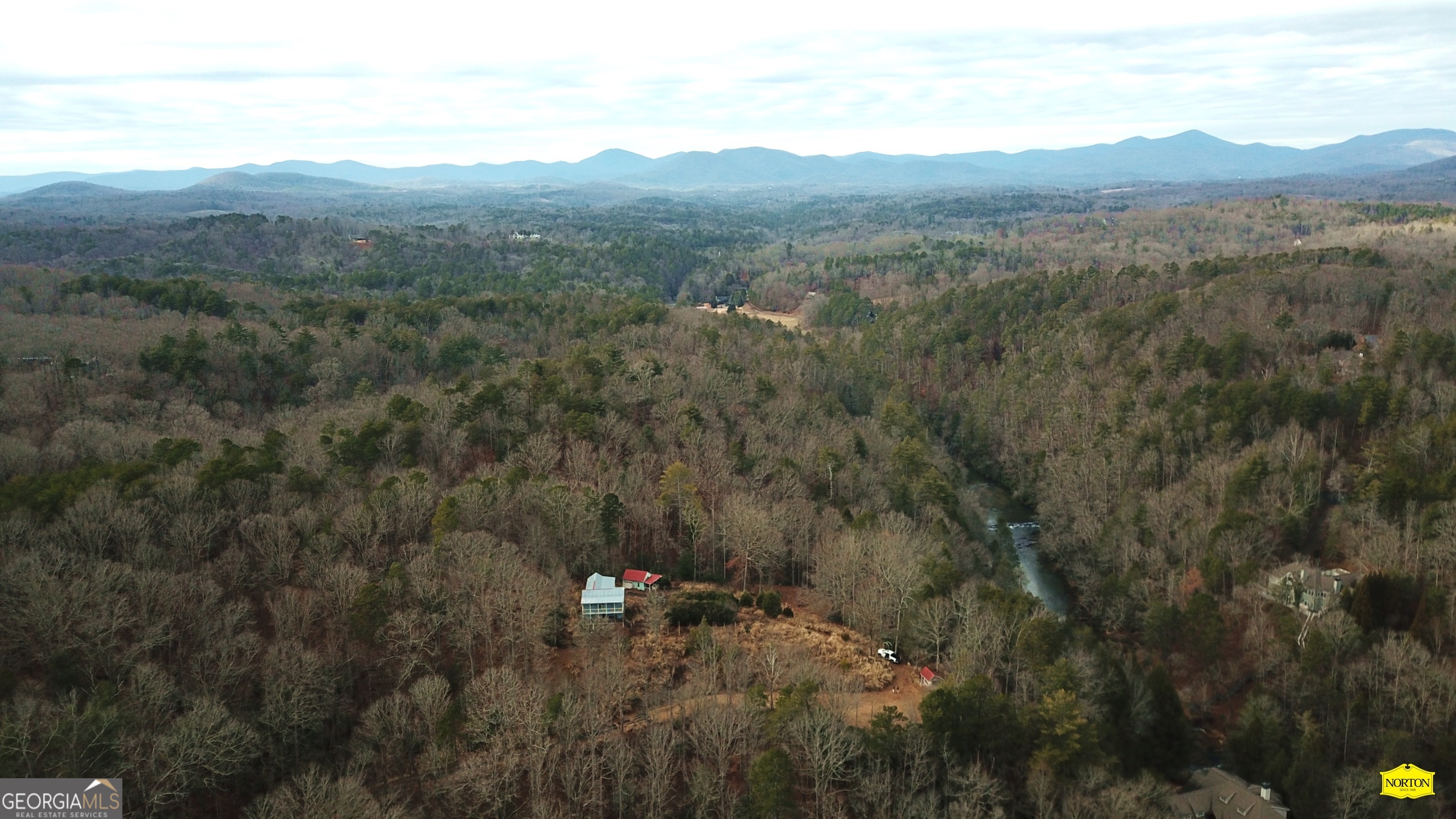 5565 Cavender Creek Road Dahlonega, GA 30533 - Photo 4 of 17 a view of a forest with mountains in the background