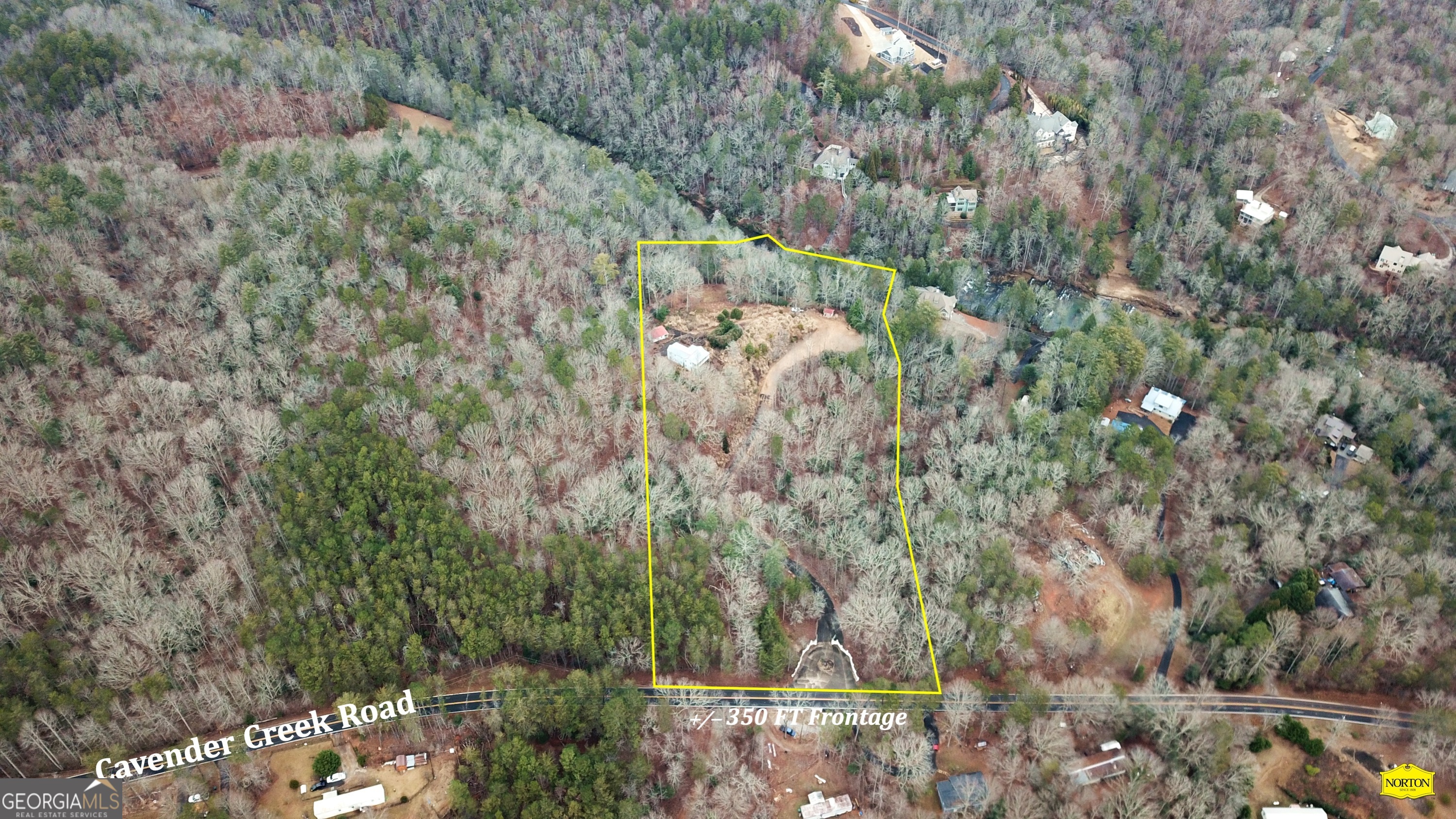 5565 Cavender Creek Road Dahlonega, GA 30533 - Photo 5 of 17 a view of a forest with a tree