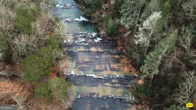 a view of a forest with trees on a road