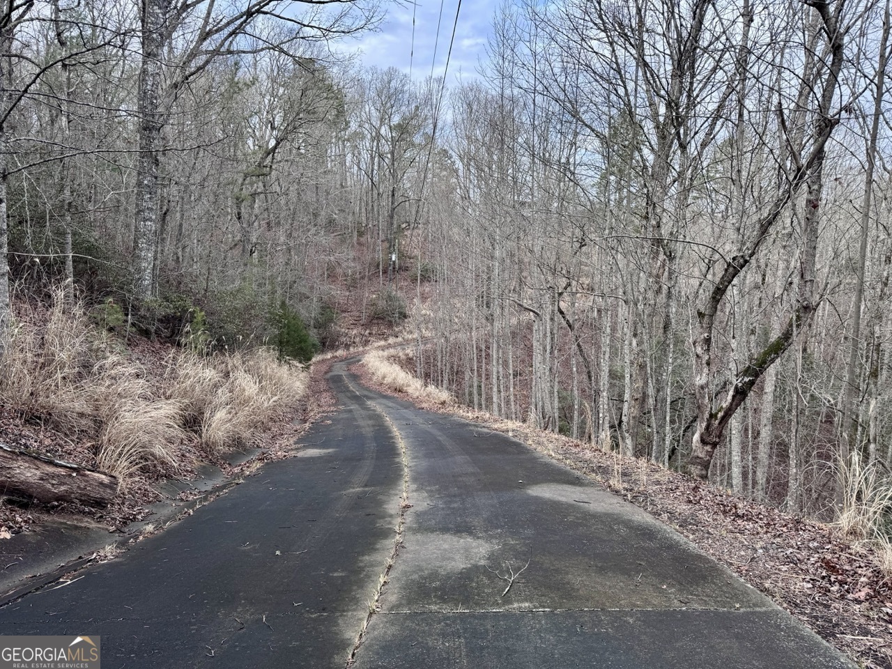 5565 Cavender Creek Road Dahlonega, GA 30533 - Photo 7 of 17 a view of a forest with trees on a road