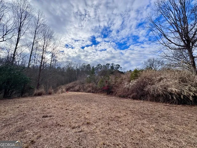 a view of outdoor space with entertaining space