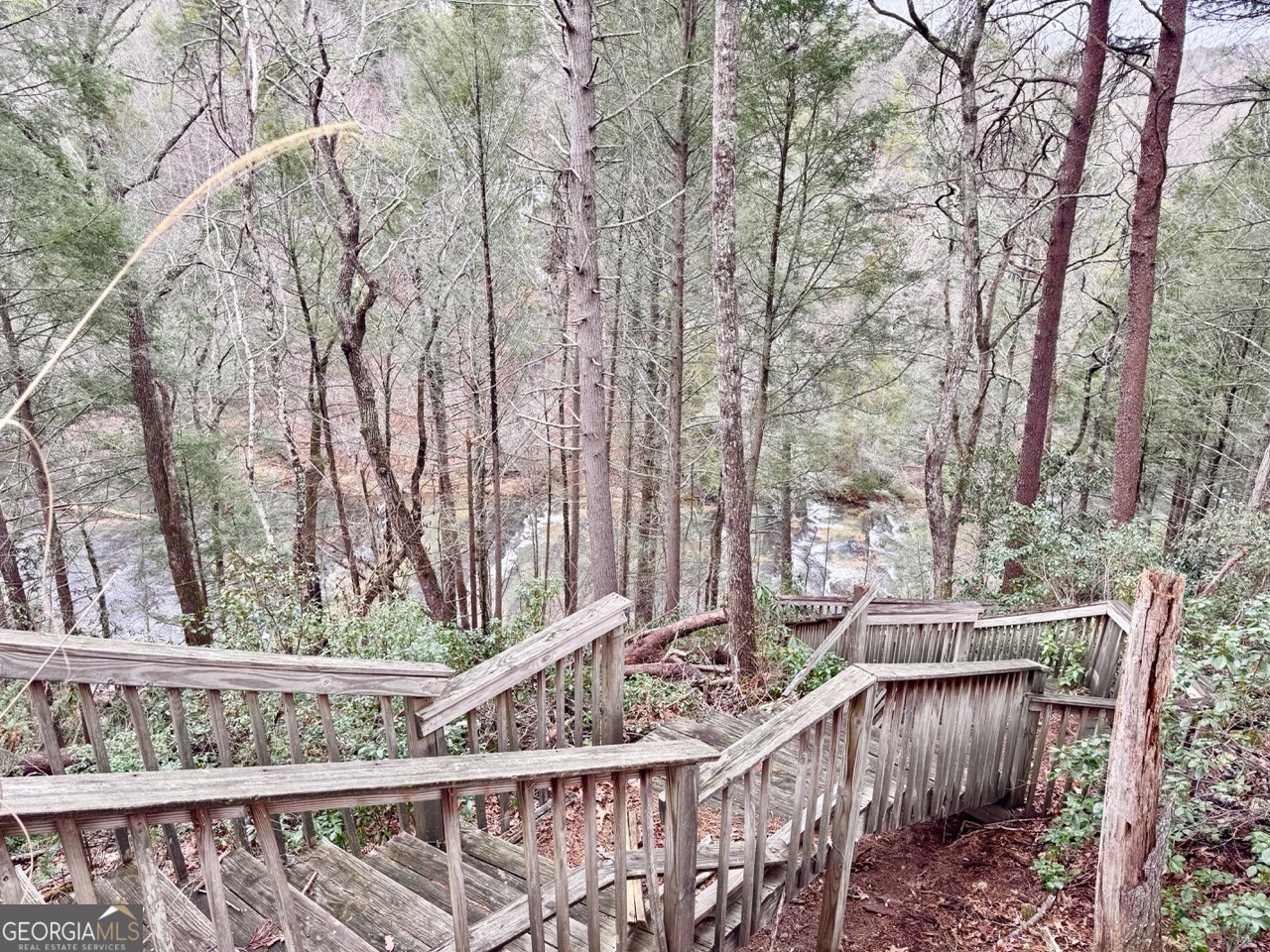 5565 Cavender Creek Road Dahlonega, GA 30533 - Photo 9 of 17 a view of outdoor space with entertaining space