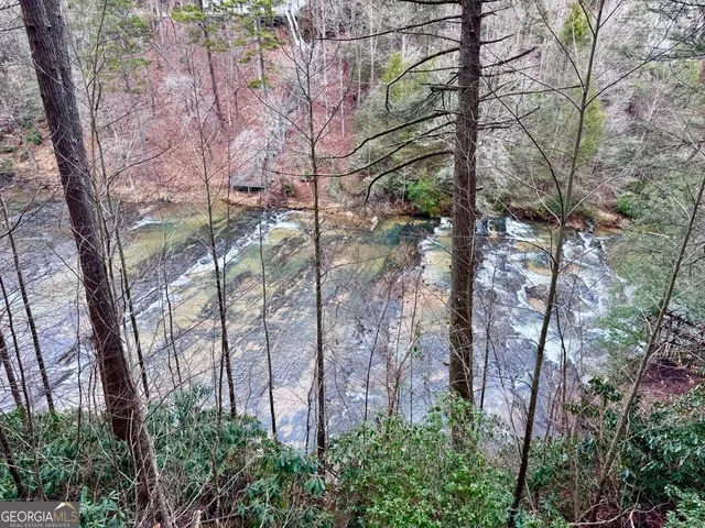 a view of a yard with trees