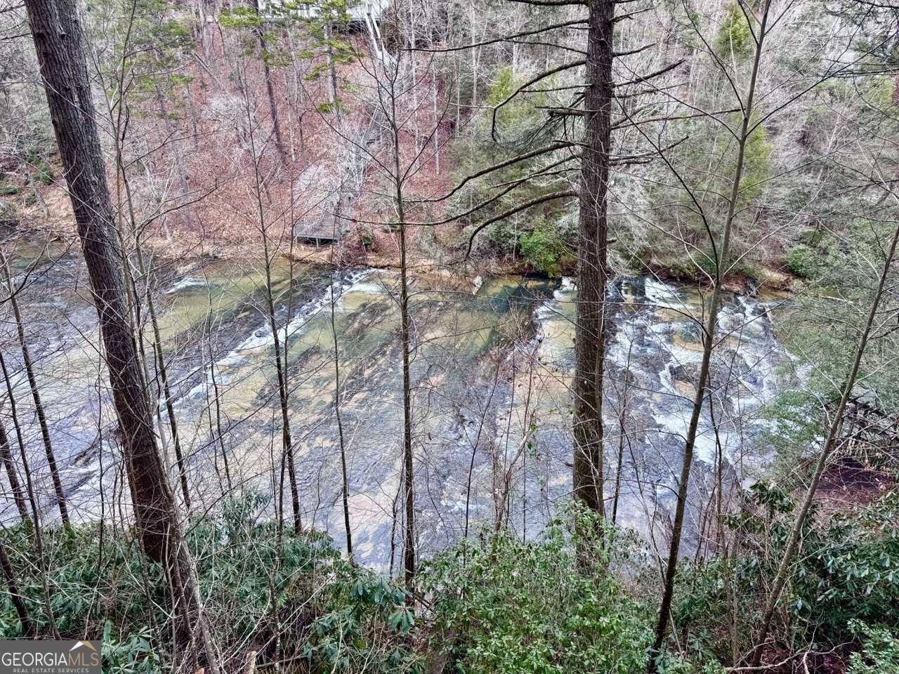 5565 Cavender Creek Road Dahlonega, GA 30533 - Photo 10 of 17 a backyard of a house with lots of green space