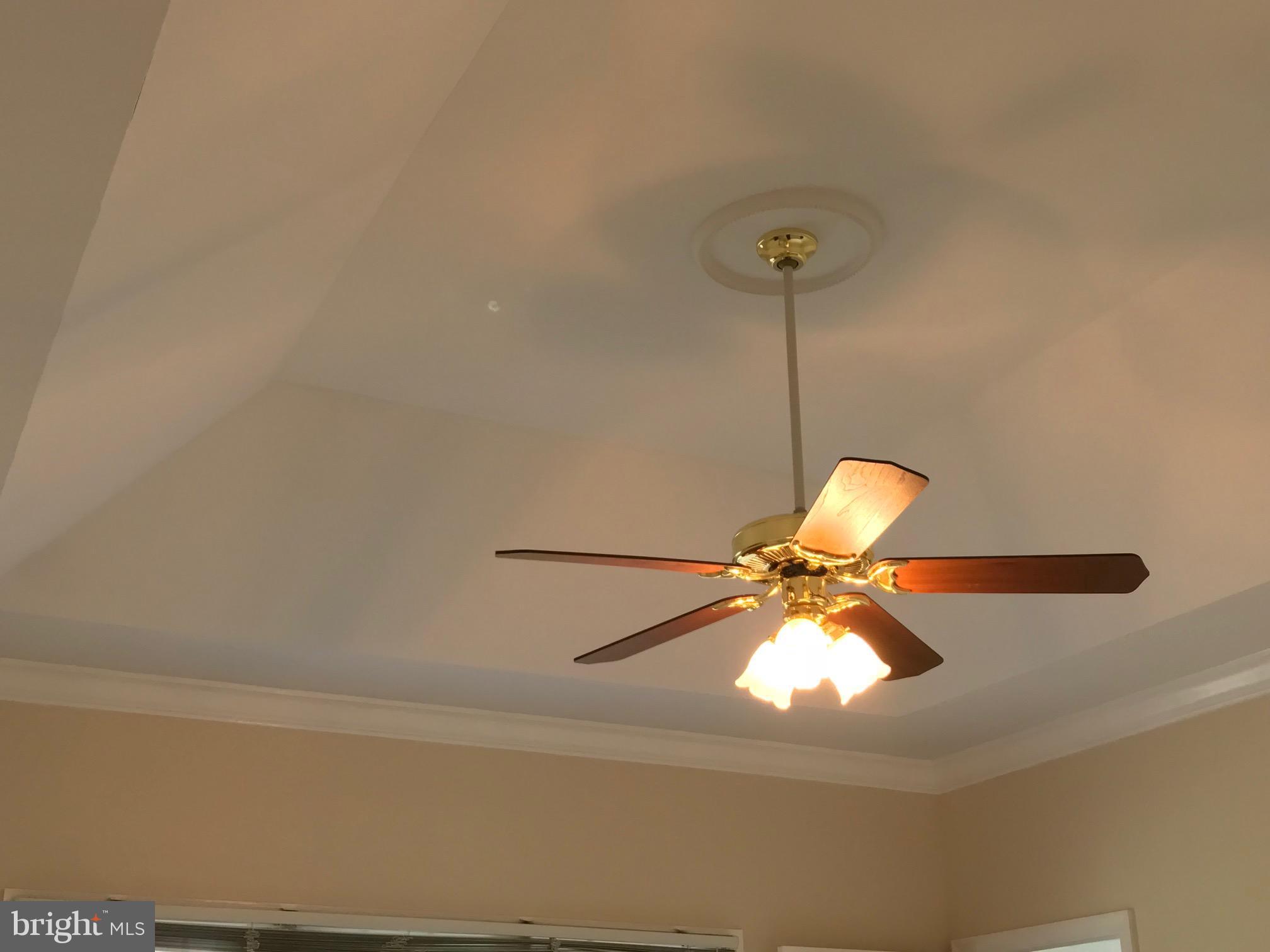 1208 Rodes Circle Winchester, VA 22601 - Photo 18 of 26 Trey Ceiling Master Bedroom