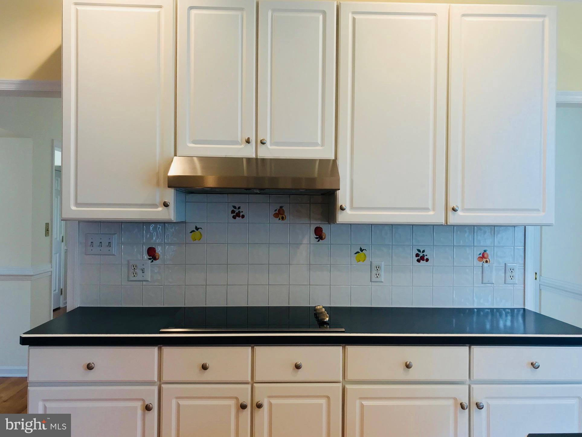 1208 Rodes Circle Winchester, VA 22601 - Photo 3 of 26 New Cooktop, Range Hood & Tile Backsplash