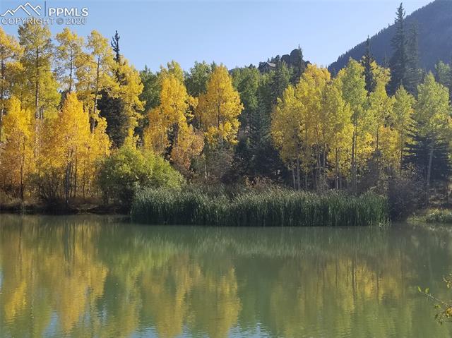 Forest Road Manitou Springs, CO 80829 - Photo 23 of 23 Gallery Image 23