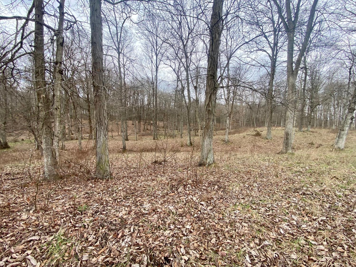 Ac Wildcat Road Winchester, OH 45697 - Photo 15 of 21