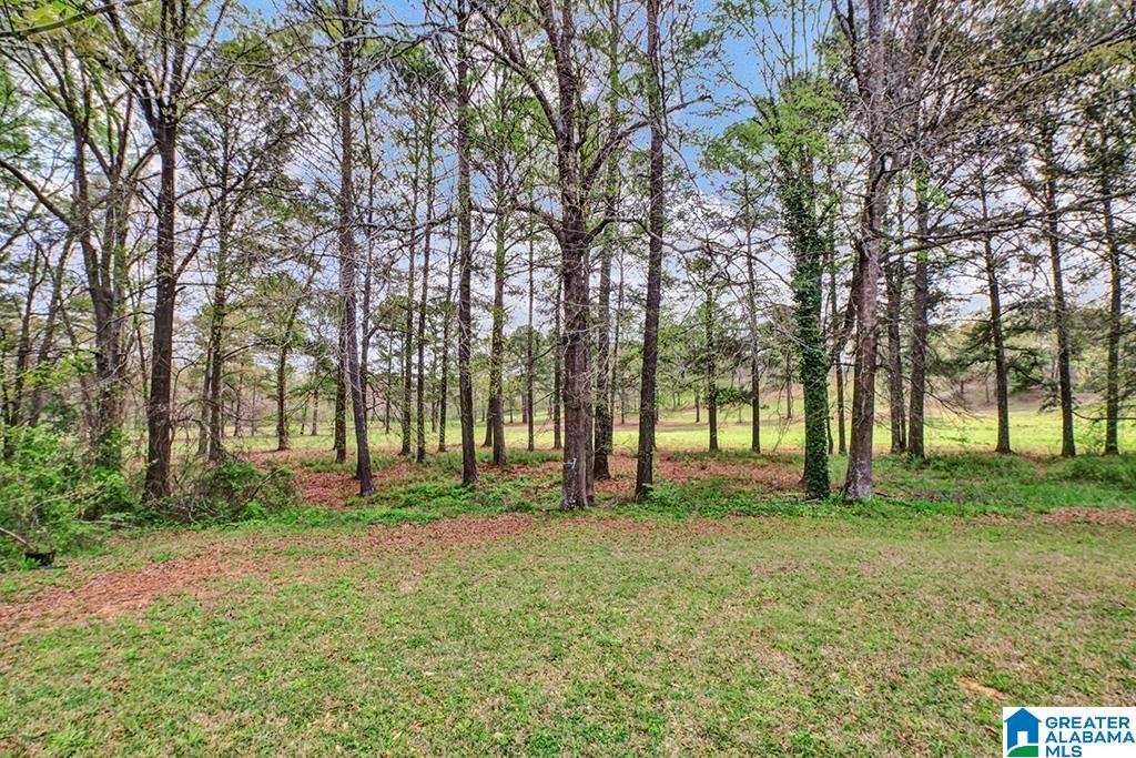 152 Fairview Lane Montevallo, AL 35115 - Photo 14 of 16