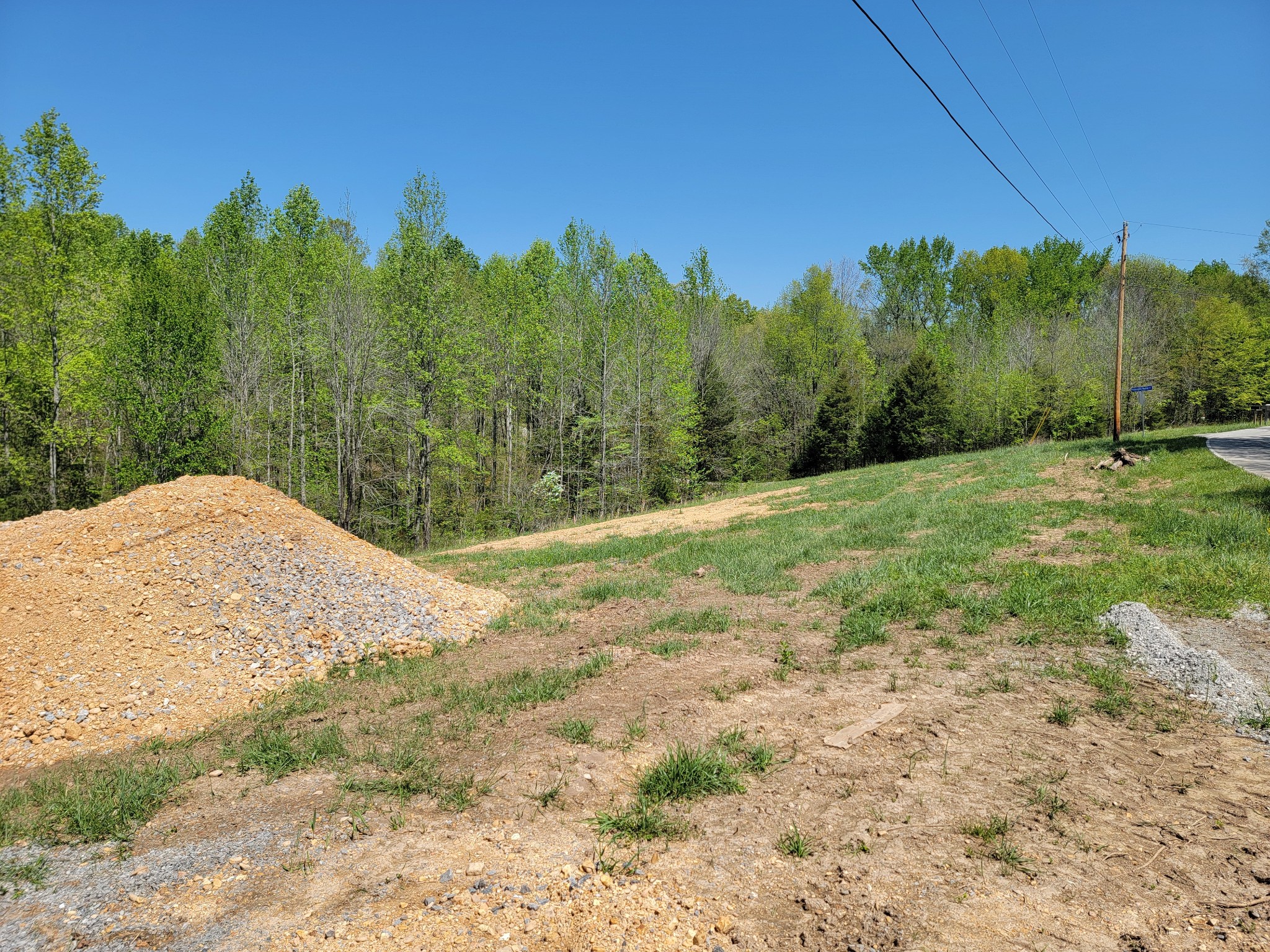2265 Mockingbird Hill Road Palmyra, TN 37142 - Photo 2 of 24 a view of a yard with trees