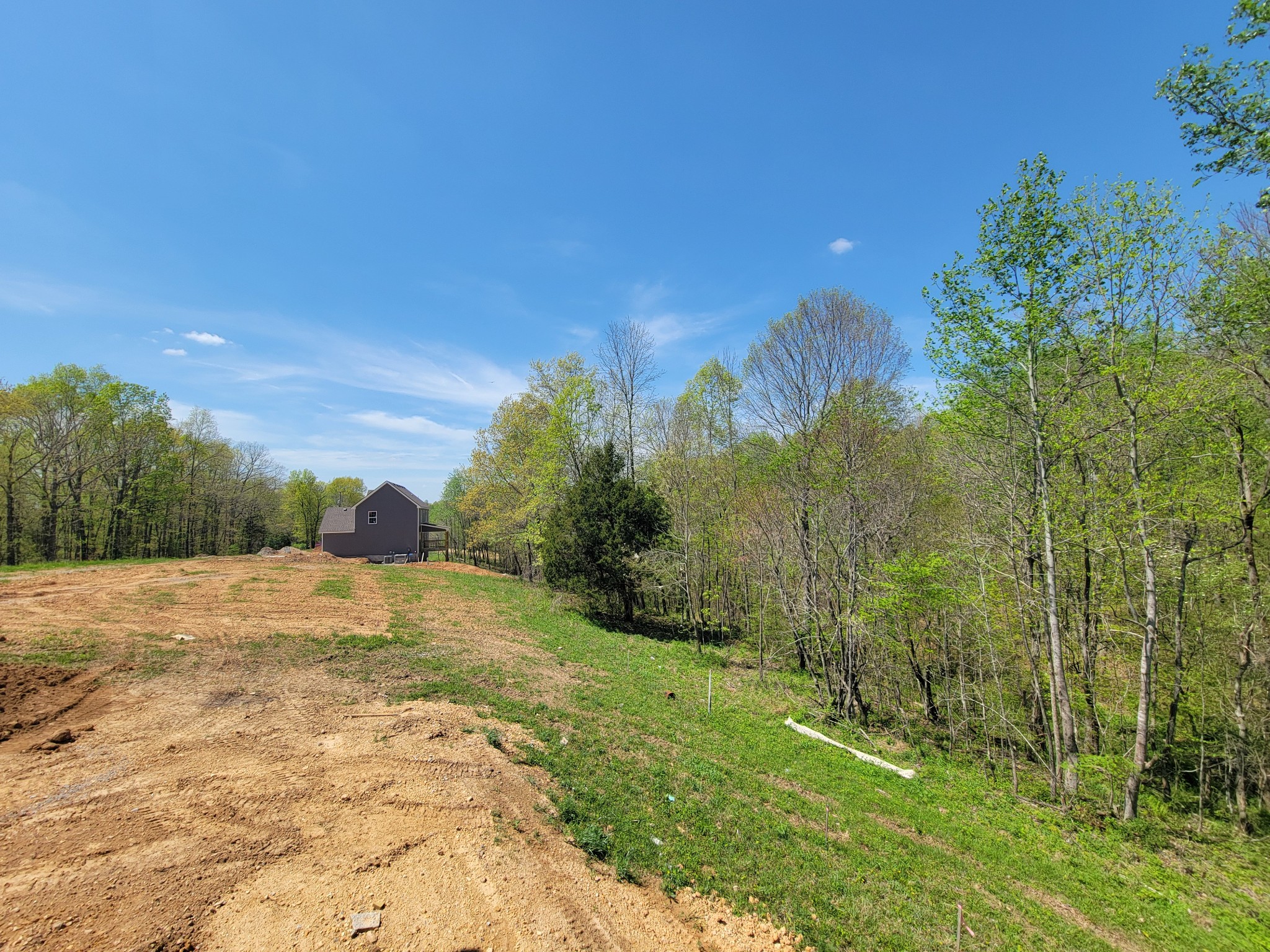 2265 Mockingbird Hill Road Palmyra, TN 37142 - Photo 21 of 24 a view of a yard
