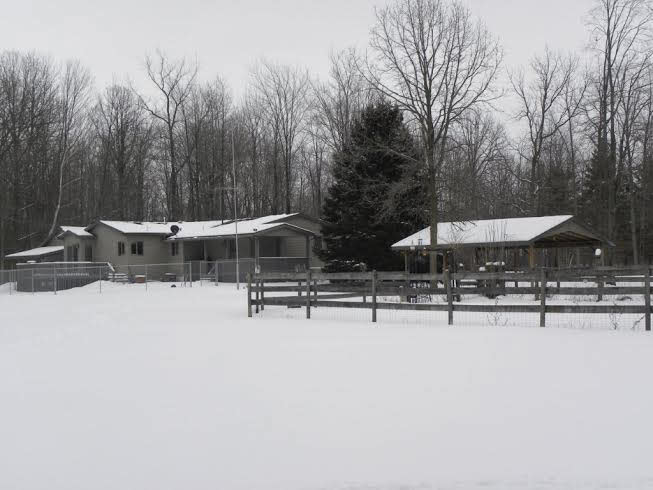 1716 West Erickson Road Linwood, MI 48634 - Photo 23 of 37