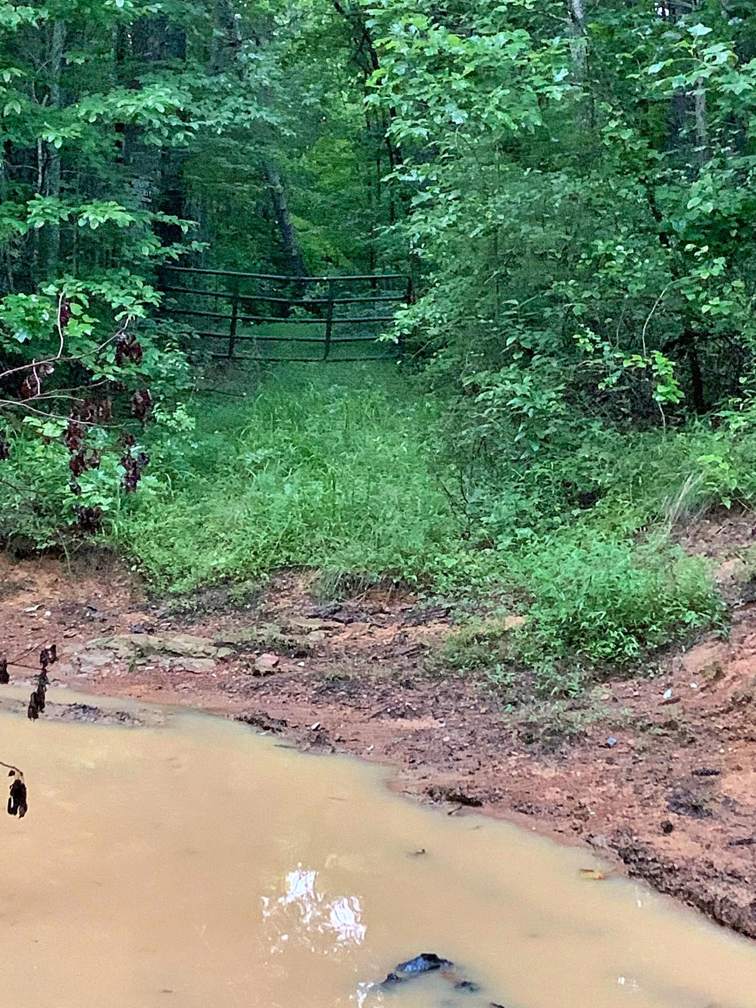0 Station Camp Road Oneida, TN 37841 - Photo 2 of 7 a view of a yard with a tree
