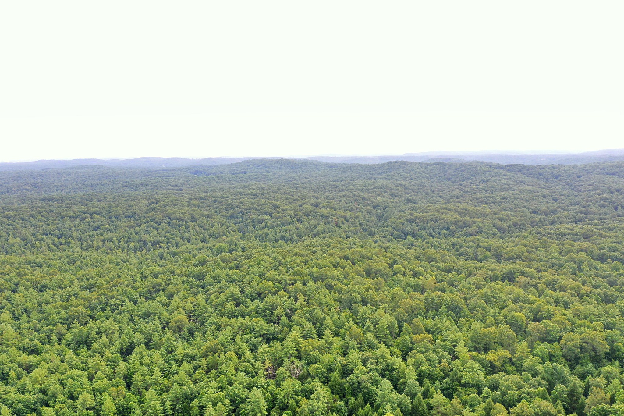 0 Station Camp Road Oneida, TN 37841 - Photo 6 of 7