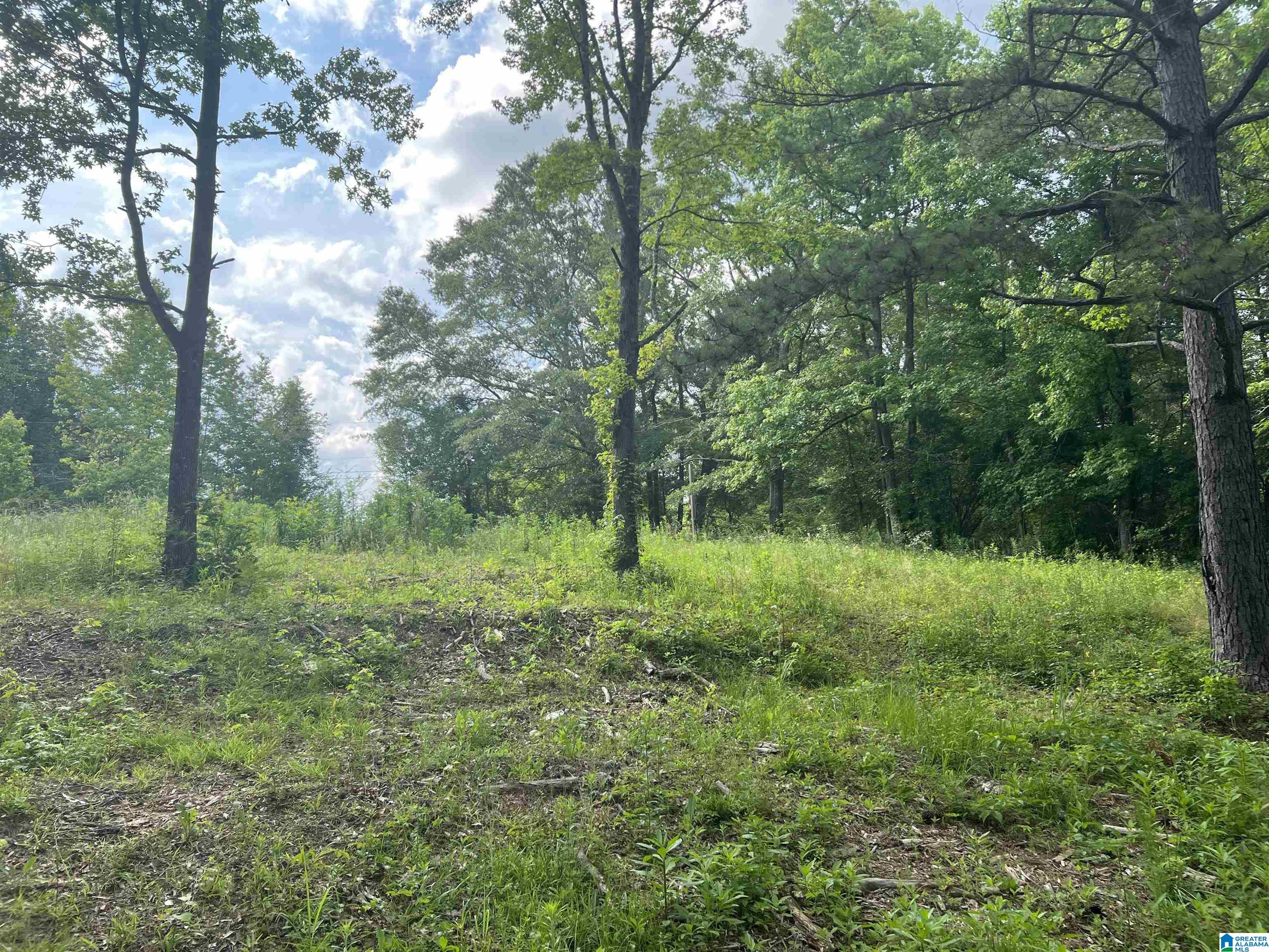 0 County Road 91, Unit 1 Montevallo, AL 35115 - Photo 1 of 4