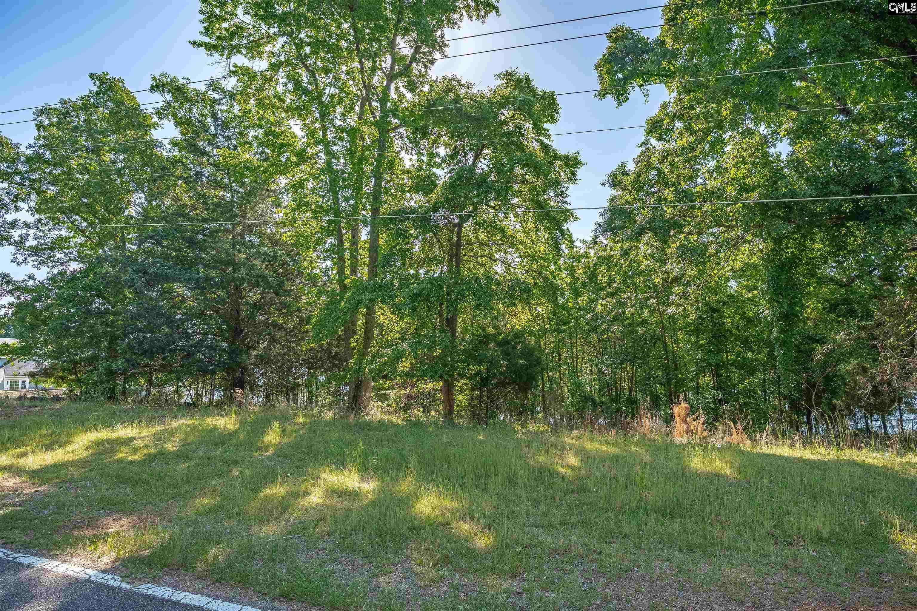 2022 Lake Road Ridgeway, SC 29130 - Photo 15 of 21