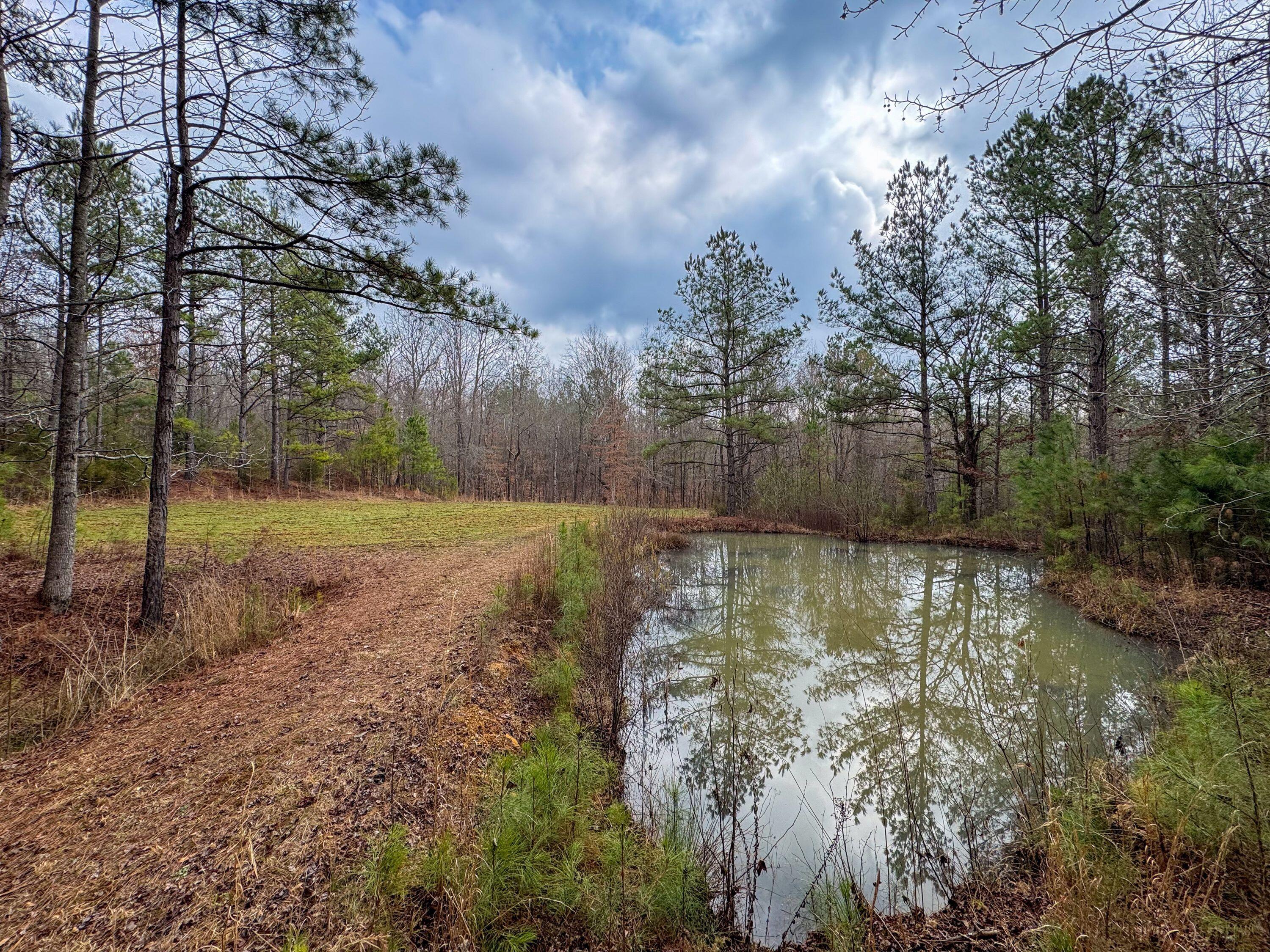 731 Wright Road Tremont, MS 38876 - Photo 57 of 76 Gallery Image 57