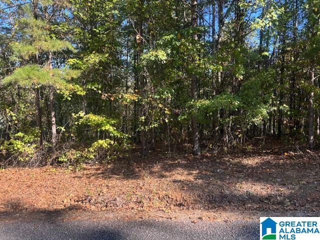 Dogwood Ridge, Unit 55 Wedowee, AL 36278 - Photo 1 of 5